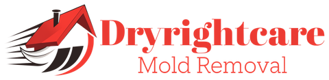 Dryrightcare Mold Removal photo